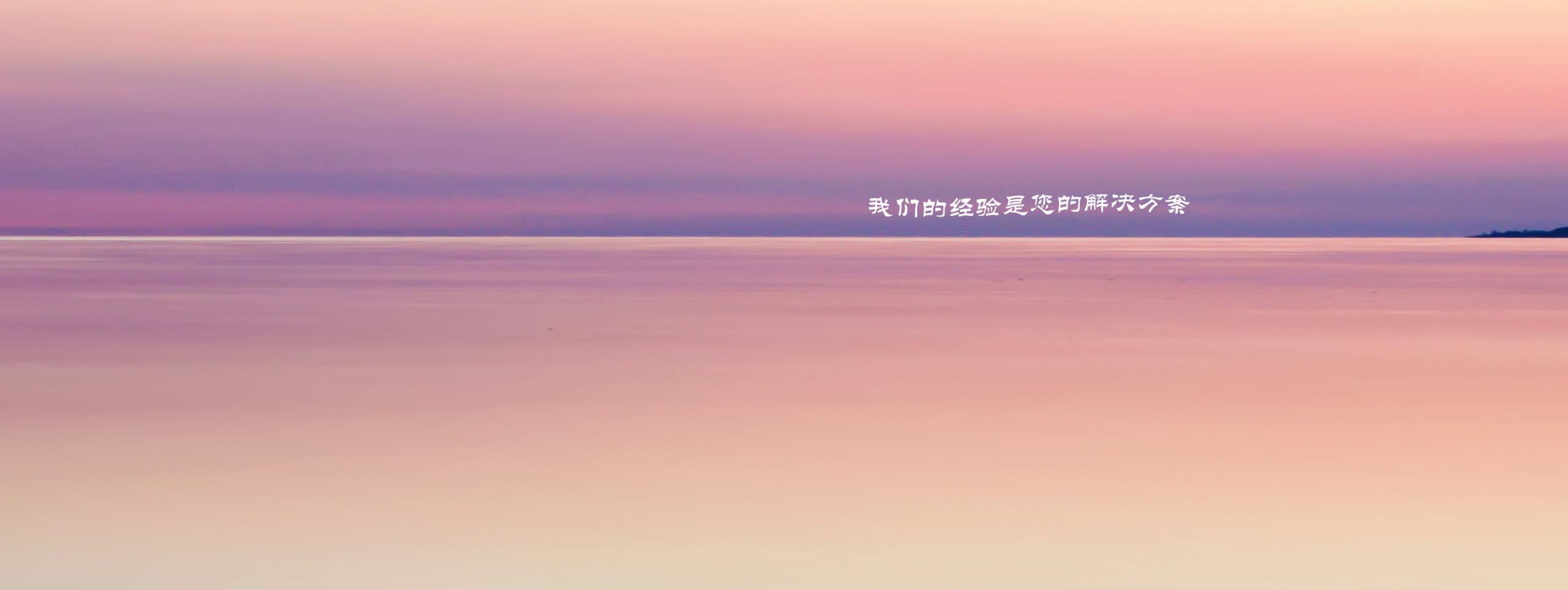 现场15